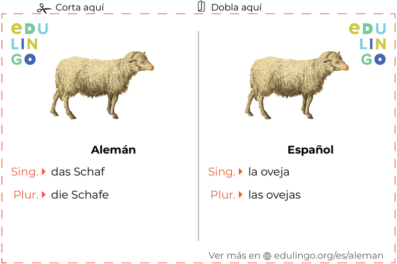 Ficha de Vocabulario Oveja en alemán para imprimir, practicar y aprender
