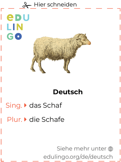 Schaf auf Deutsch Vokabelkartei zum Ausdrucken, Üben und Lernen