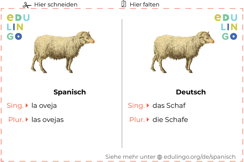 Schaf auf Spanisch Vokabelkartei zum Ausdrucken, Üben und Lernen