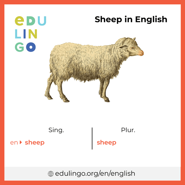 Plural sheep sentence meaning
