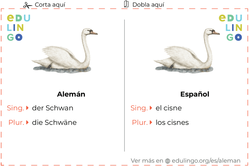 Ficha de Vocabulario Cisne en alemán para imprimir, practicar y aprender