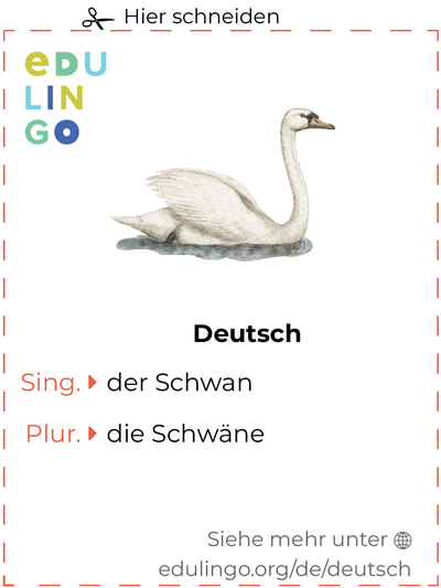 Schwan auf Deutsch Vokabelkartei zum Ausdrucken, Üben und Lernen