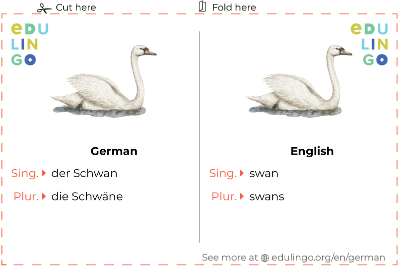 Swan in German vocabulary flashcard for printing, practicing and learning