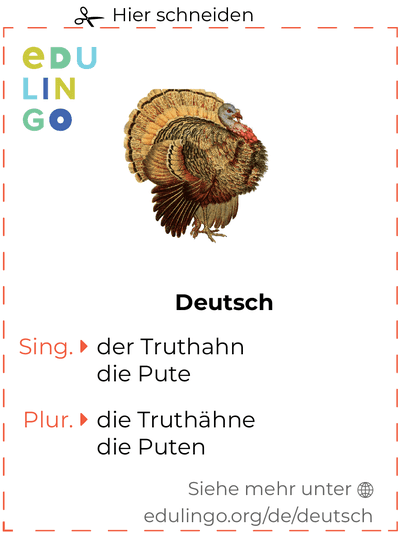 Truthahn auf Deutsch Vokabelkartei zum Ausdrucken, Üben und Lernen
