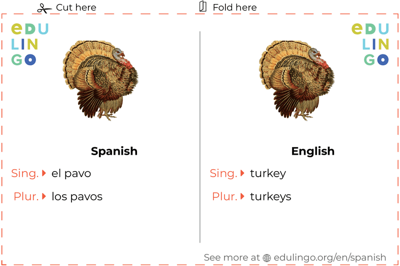 Turkey in Spanish vocabulary flashcard for printing, practicing and learning