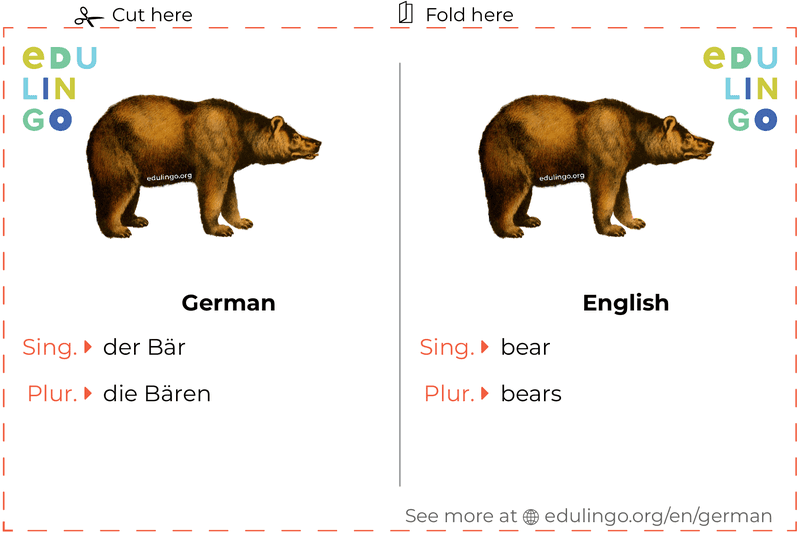 Bear in German vocabulary flashcard for printing, practicing and learning