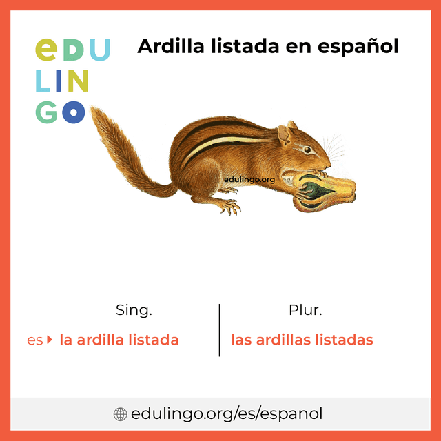 Imagen de vocabulario Ardilla listada en español con singular y plural para descargar e imprimir