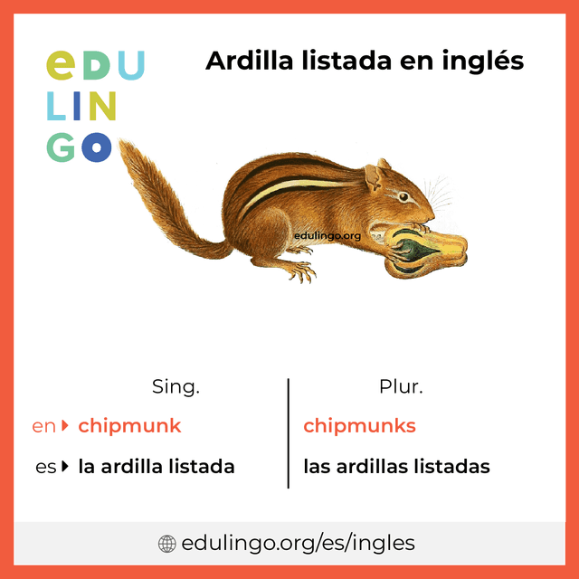 Imagen de vocabulario Ardilla listada en inglés con singular y plural para descargar e imprimir