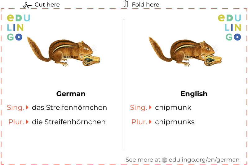 Chipmunk in German vocabulary flashcard for printing, practicing and learning