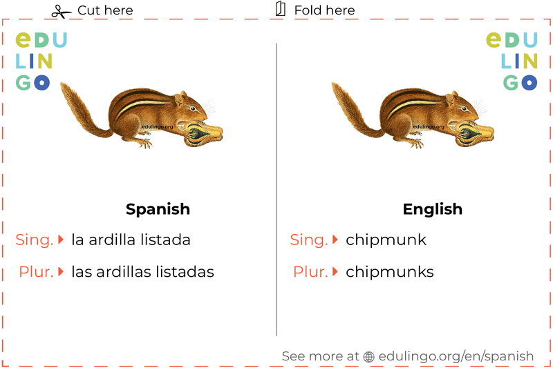 Chipmunk in Spanish vocabulary flashcard for printing, practicing and learning