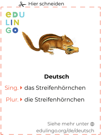 Streifenhörnchen auf Deutsch Vokabelkartei zum Ausdrucken, Üben und Lernen