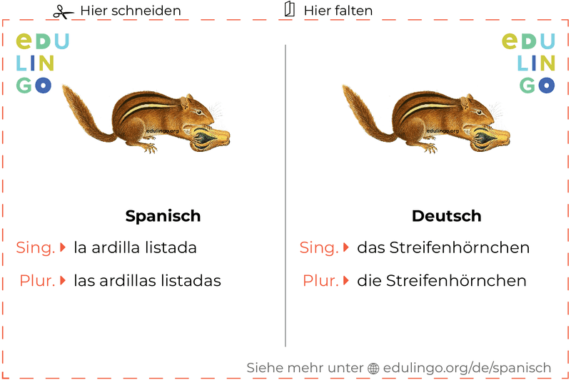 Streifenhörnchen auf Spanisch Vokabelkartei zum Ausdrucken, Üben und Lernen