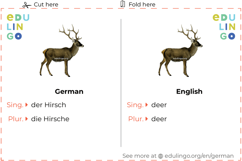 Deer in German vocabulary flashcard for printing, practicing and learning