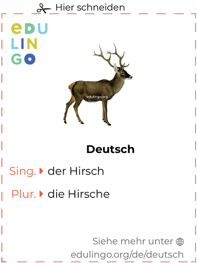 Hirsch auf Deutsch Vokabelkartei zum Ausdrucken, Üben und Lernen