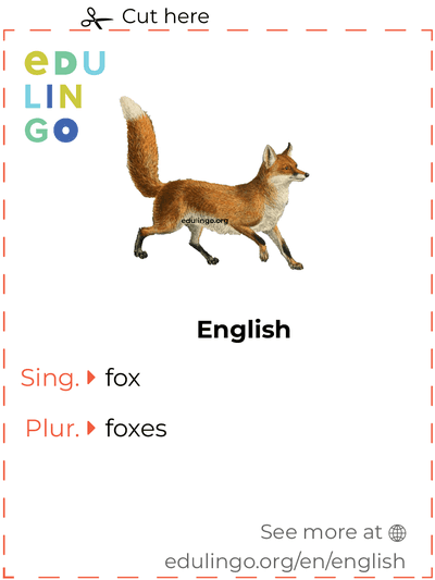 Fox in English vocabulary flashcard for printing, practicing and learning