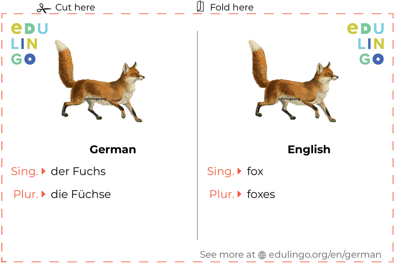 Fox in German vocabulary flashcard for printing, practicing and learning