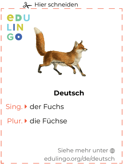 Fuchs auf Deutsch Vokabelkartei zum Ausdrucken, Üben und Lernen