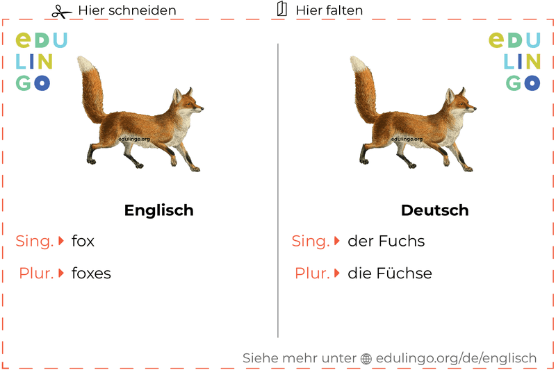 Fuchs auf Englisch Vokabelkartei zum Ausdrucken, Üben und Lernen