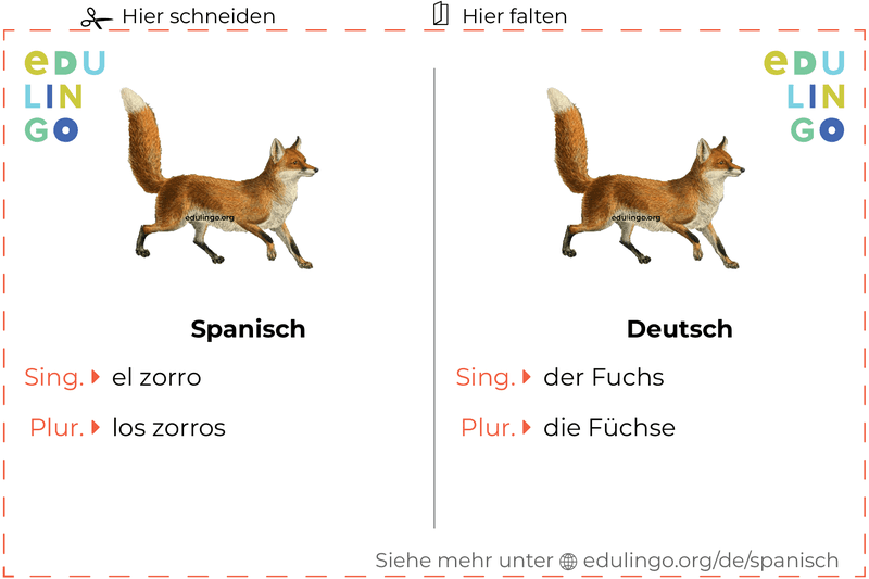 Fuchs auf Spanisch Vokabelkartei zum Ausdrucken, Üben und Lernen