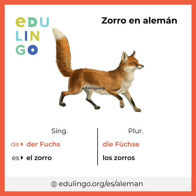 Imagen de vocabulario Zorro en alemán con singular y plural para descargar e imprimir