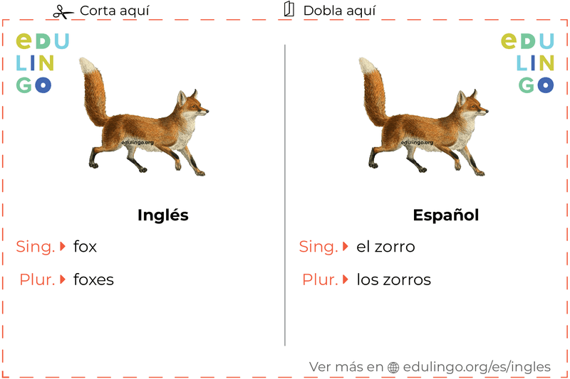 Ficha de Vocabulario Zorro en inglés para imprimir, practicar y aprender