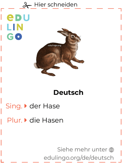 Hase auf Deutsch Vokabelkartei zum Ausdrucken, Üben und Lernen