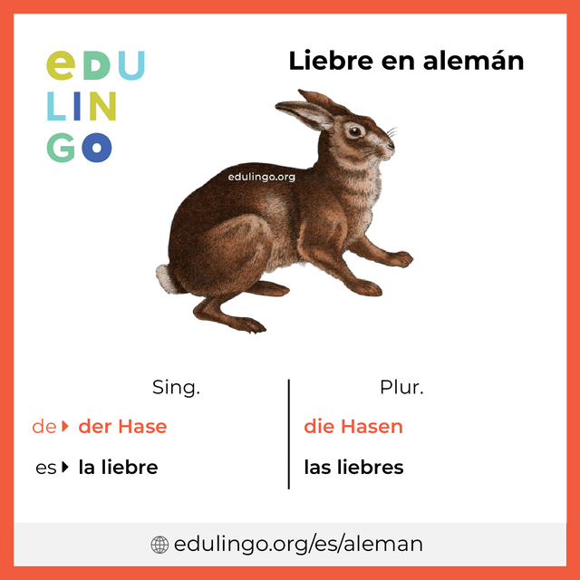 Imagen de vocabulario Liebre en alemán con singular y plural para descargar e imprimir