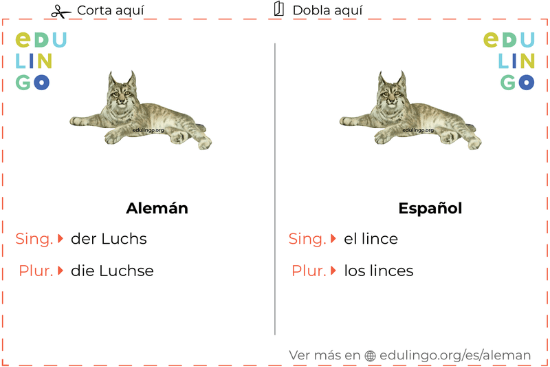 Ficha de Vocabulario Lince en alemán para imprimir, practicar y aprender