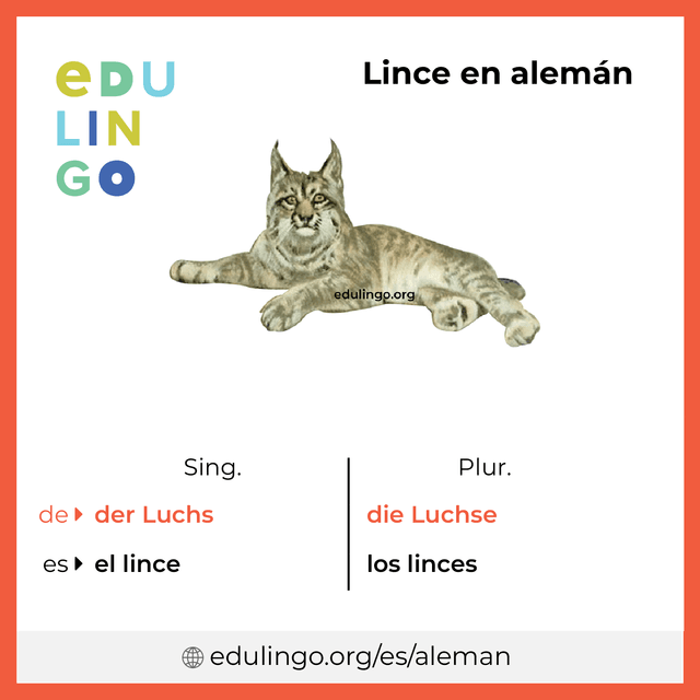 Imagen de vocabulario Lince en alemán con singular y plural para descargar e imprimir