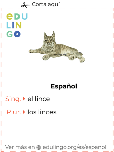 Ficha de Vocabulario Lince en español para imprimir, practicar y aprender