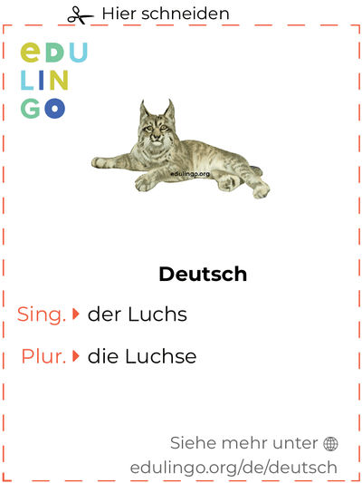 Luchs auf Deutsch Vokabelkartei zum Ausdrucken, Üben und Lernen