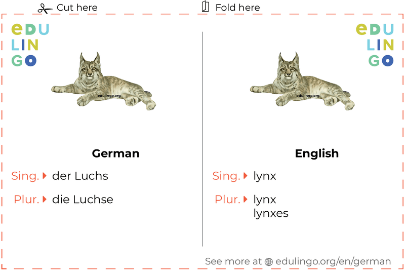 Lynx in German vocabulary flashcard for printing, practicing and learning