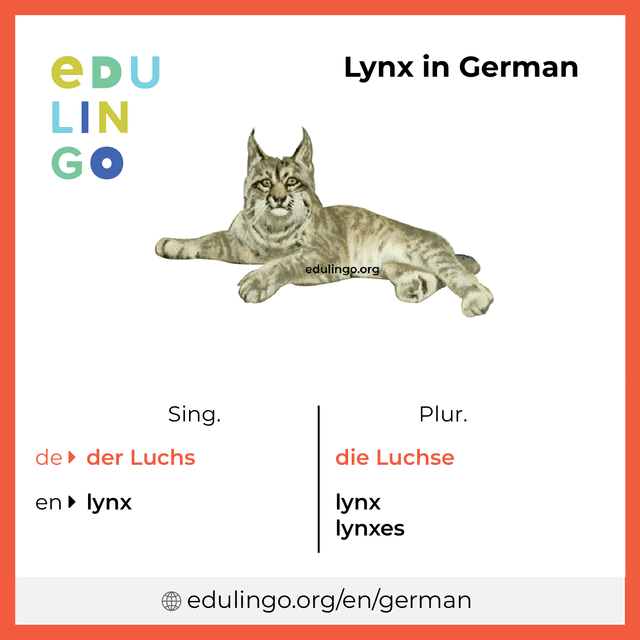 Lynx in German vocabulary picture with singular and plural for download and printing