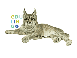 Thumbnail: Lynx in Spanish