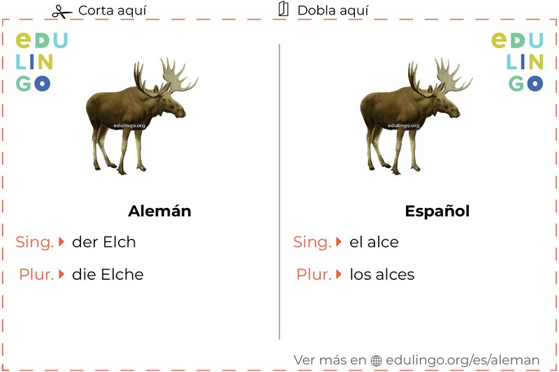 Ficha de Vocabulario Alce en alemán para imprimir, practicar y aprender