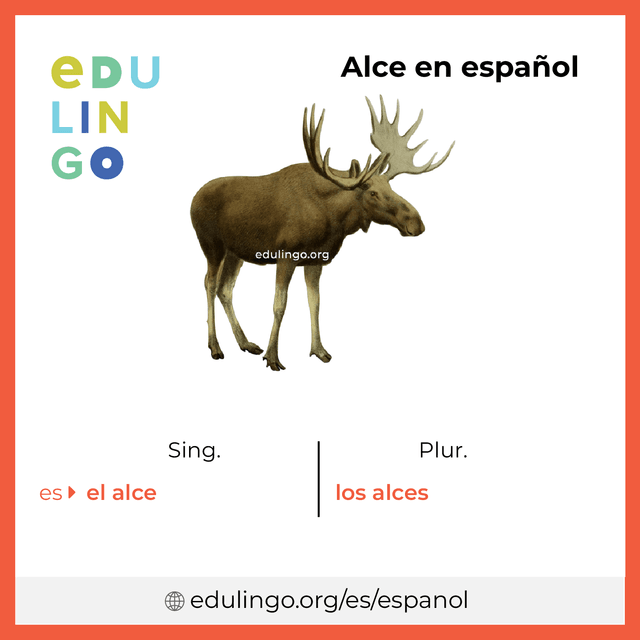 Imagen de vocabulario Alce en español con singular y plural para descargar e imprimir