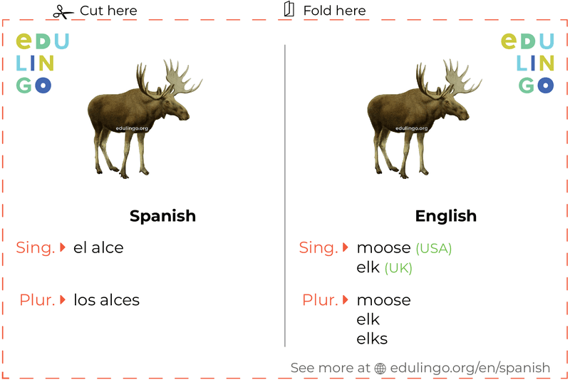 Moose in Spanish vocabulary flashcard for printing, practicing and learning