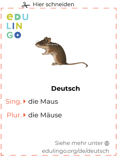 Maus auf Deutsch Vokabelkartei zum Ausdrucken, Üben und Lernen