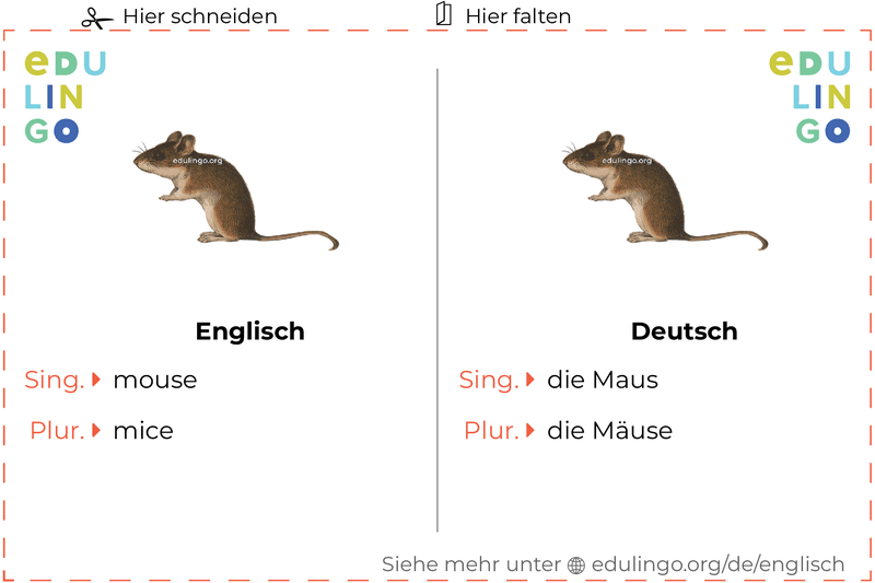 Maus auf Englisch Vokabelkartei zum Ausdrucken, Üben und Lernen