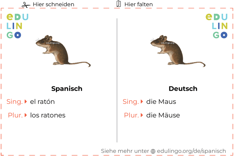 Maus auf Spanisch Vokabelkartei zum Ausdrucken, Üben und Lernen