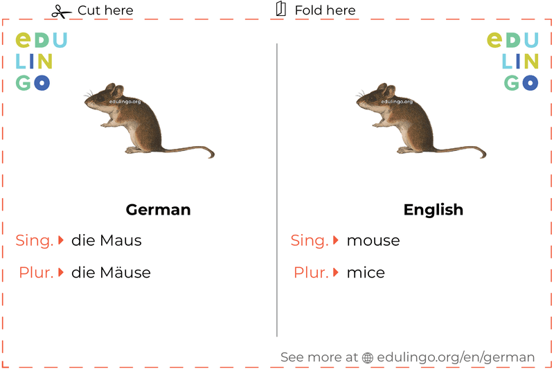 Mouse in German vocabulary flashcard for printing, practicing and learning