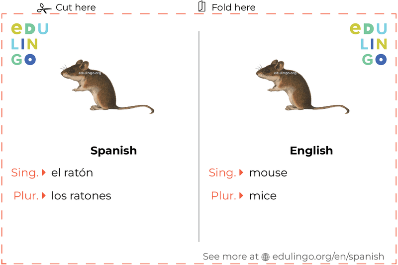 Mouse in Spanish vocabulary flashcard for printing, practicing and learning