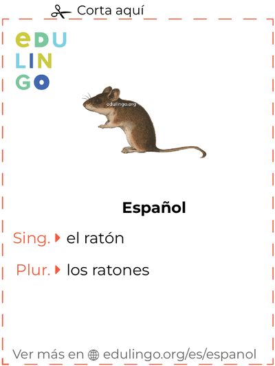 Ficha de Vocabulario Ratón en español para imprimir, practicar y aprender