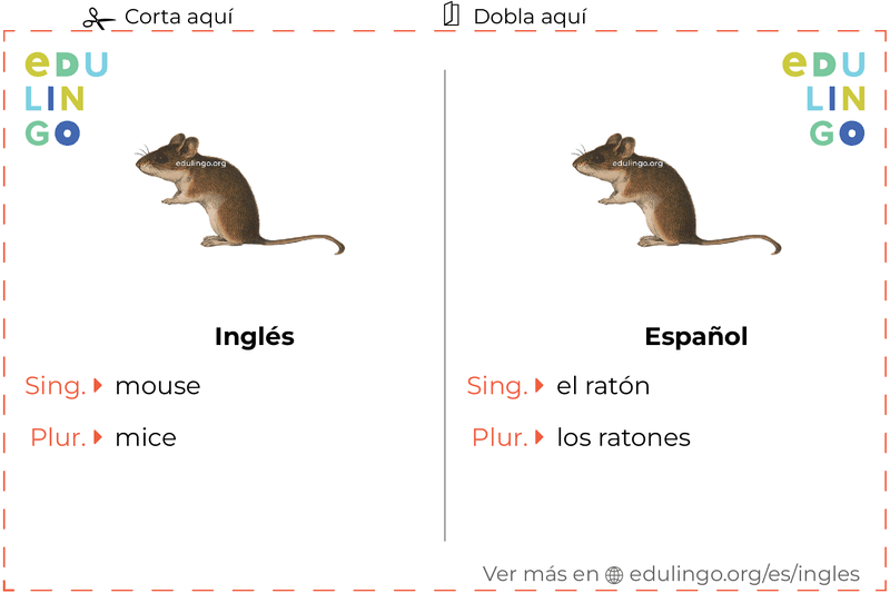 Ficha de Vocabulario Ratón en inglés para imprimir, practicar y aprender