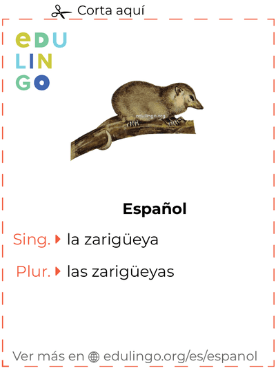 Ficha de Vocabulario Zarigüeya en español para imprimir, practicar y aprender