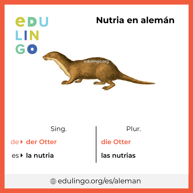 Imagen de vocabulario Nutria en alemán con singular y plural para descargar e imprimir
