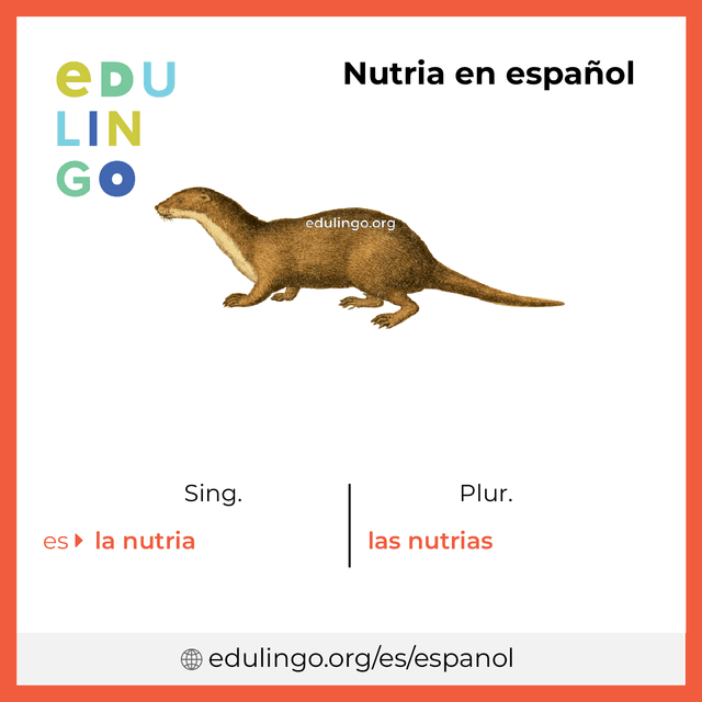 Imagen de vocabulario Nutria en español con singular y plural para descargar e imprimir