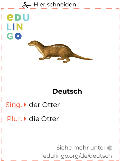 Otter auf Deutsch Vokabelkartei zum Ausdrucken, Üben und Lernen