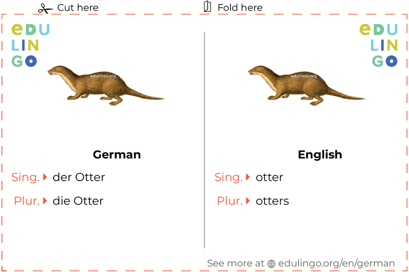 Otter in German vocabulary flashcard for printing, practicing and learning