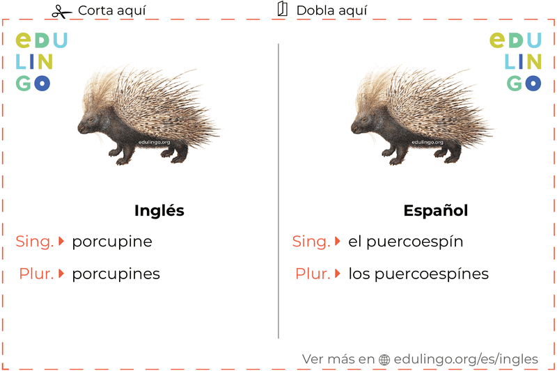 Ficha de Vocabulario Puercoespín en inglés para imprimir, practicar y aprender